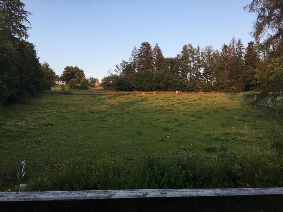 Ukazika Hotel Orawka Eksteriør billede